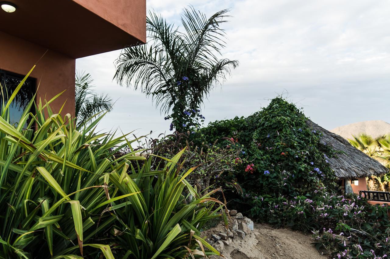 Cerritos Beach Hotel Desert Moon El Pescadero  外观 照片